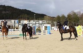 D-stevne Sandnes og Jæren Rideklubb 30.april-1.mai 2016